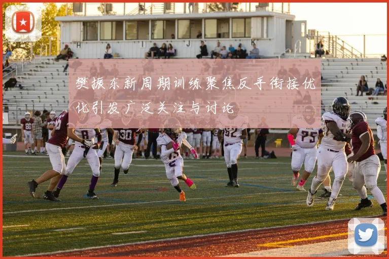 樊振东新周期训练聚焦反手衔接优化引发广泛关注与讨论